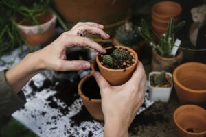 2019 Planting Trends: Early Predictions To Adopt2019 Planting Trends: Early Predictions To Adopt