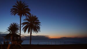 Thinking of moving to Marbella?