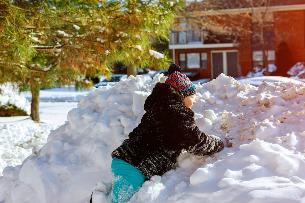Making the most of your garden in winter