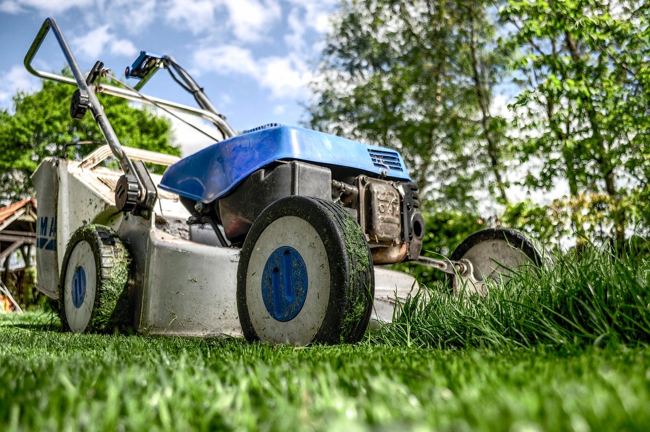 How To Revive Your Lawn After a Long Winter