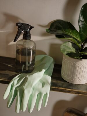 5 DIY Pest Control Products to Get Rid of Stink Bugs