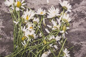 flowers on a headstone