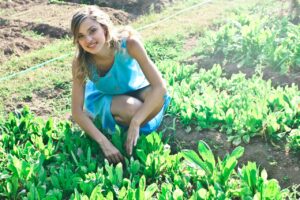 Creating the perfect edible garden space in 2022