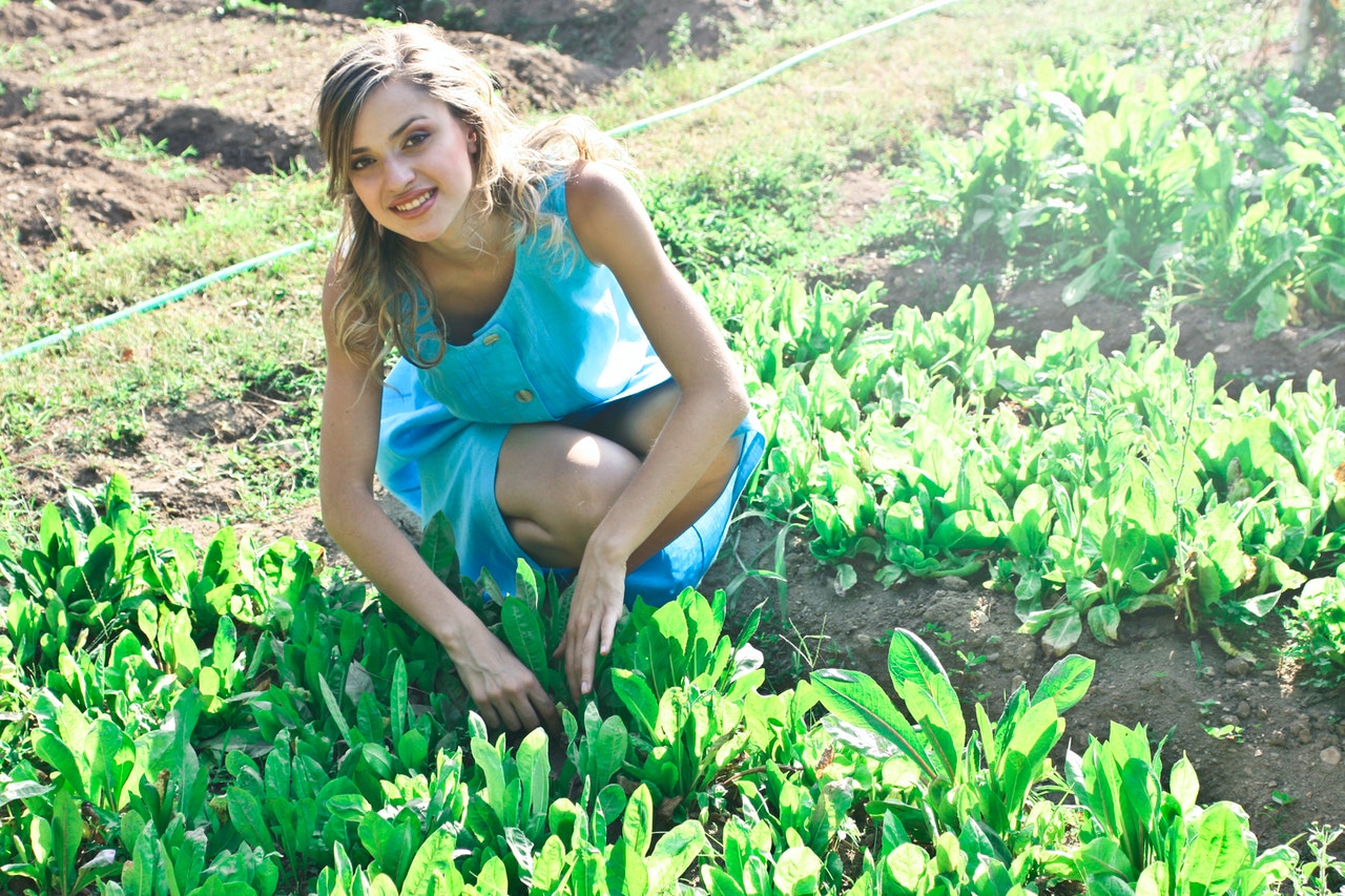 Creating the perfect edible garden space in 2022