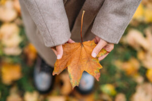 How the Transition from Summer to Autumn Impacts Your Mind and Mood