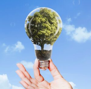 Sustainable Living Tips for Families