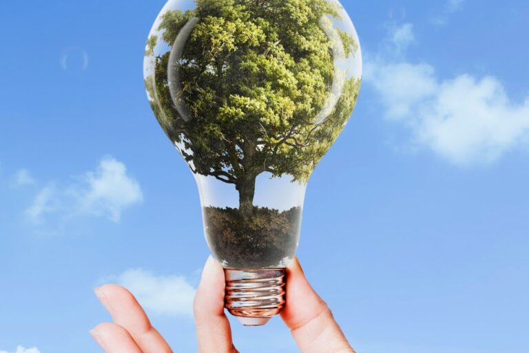 Sustainable Living Tips for Families