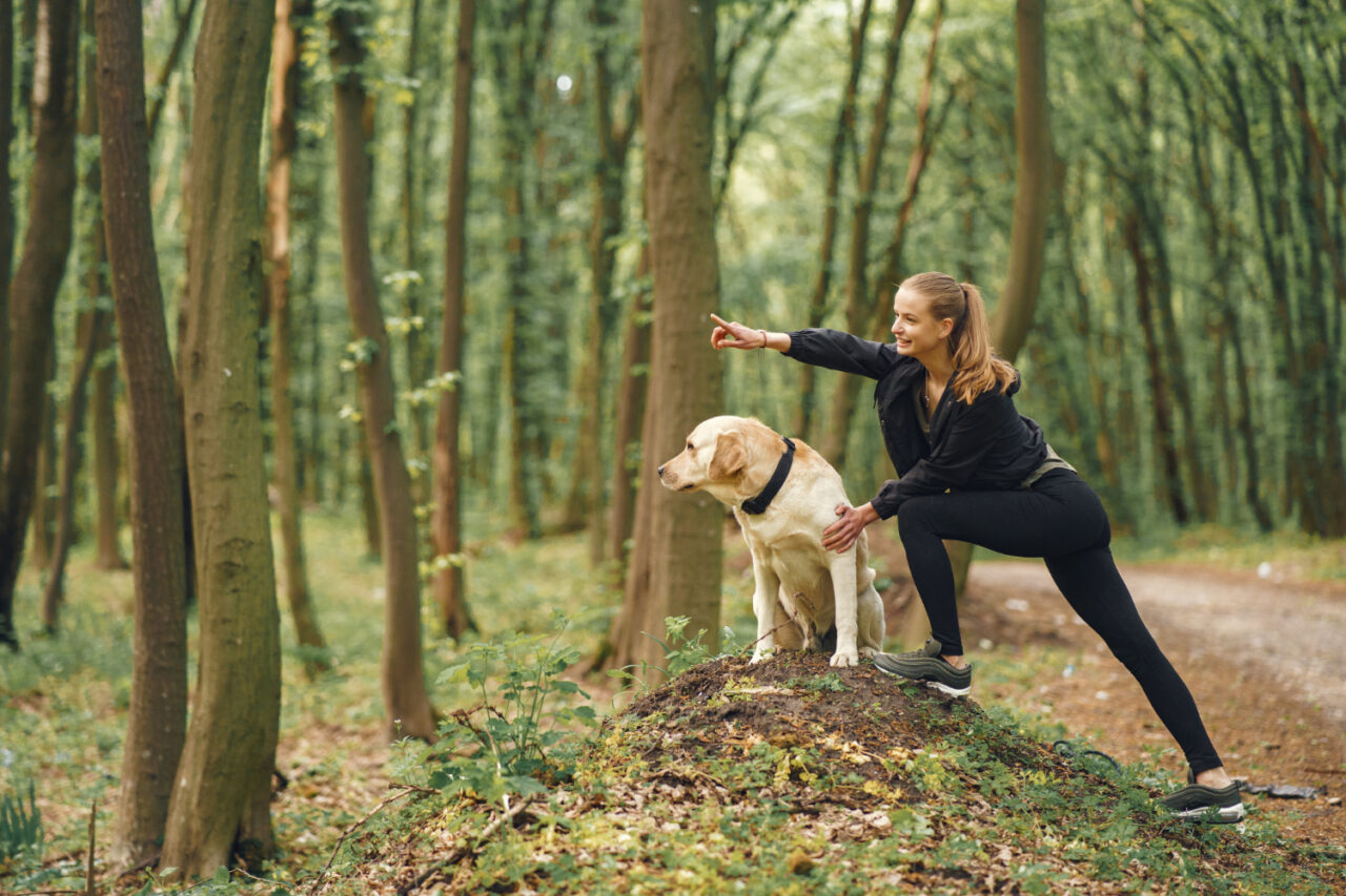 A Holistic Approach to Dog Training