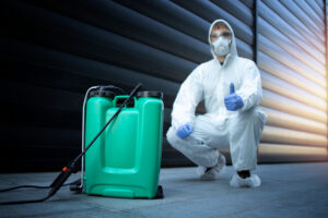 Types of Pests Often Found in Warehouses