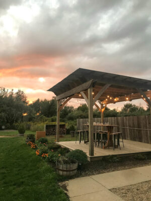 the Best Pergola Material