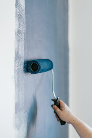interior wall paint