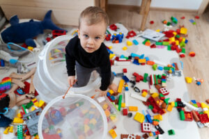 Stop Your House Overflowing with Toys