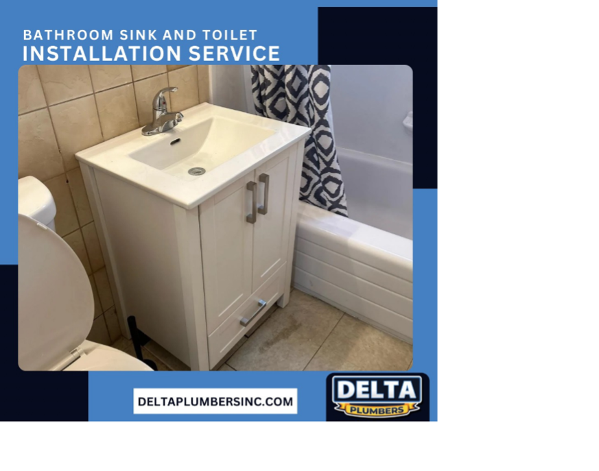 Reasons to Choose Professional Plumbing