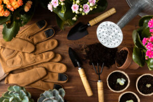Gardening Skills with the Right Tools to Match Your Interests