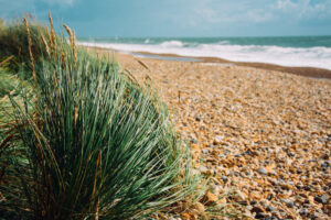 How to Plan the Perfect Getaway in Dorset