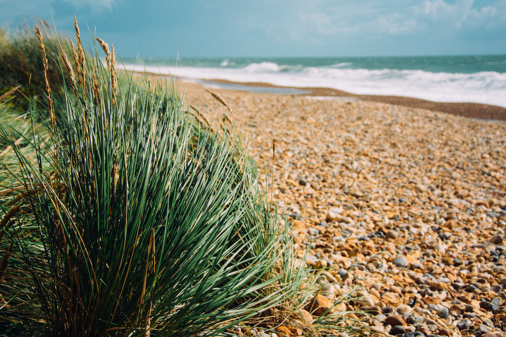 How to Plan the Perfect Getaway in Dorset