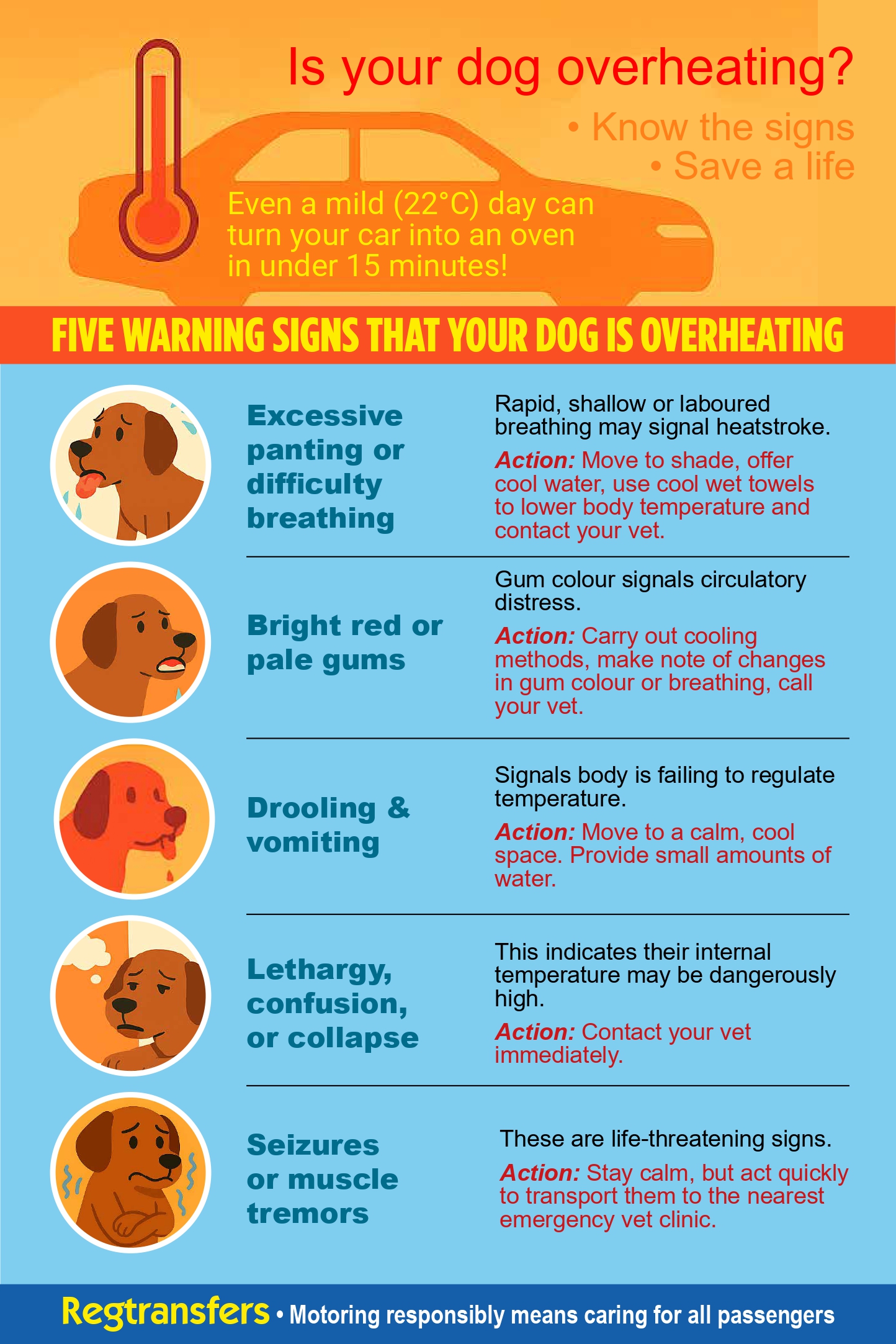 Signs Your Pet Is Overheating in the Car