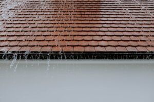Issues That Can Ruin Your Landscaping