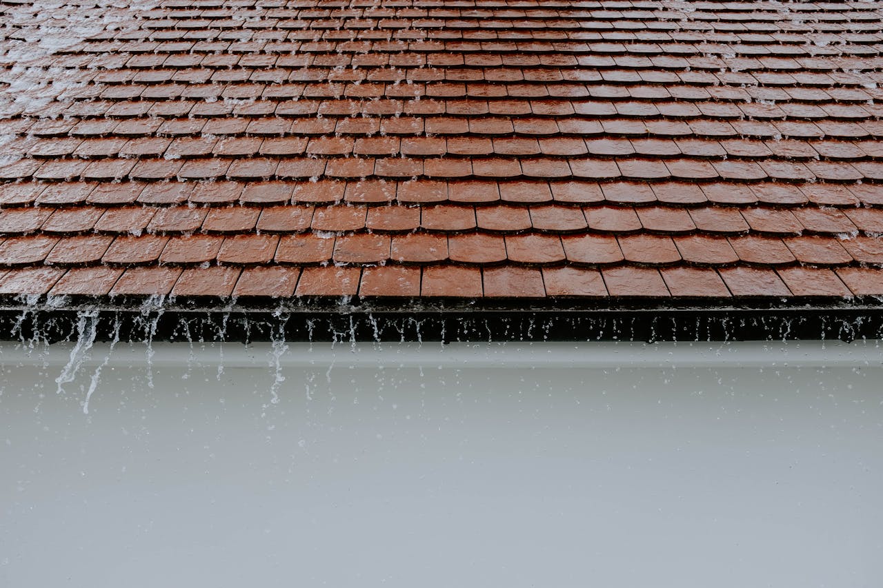 Issues That Can Ruin Your Landscaping