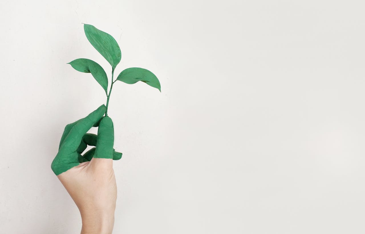 Make Your Home More Sustainable