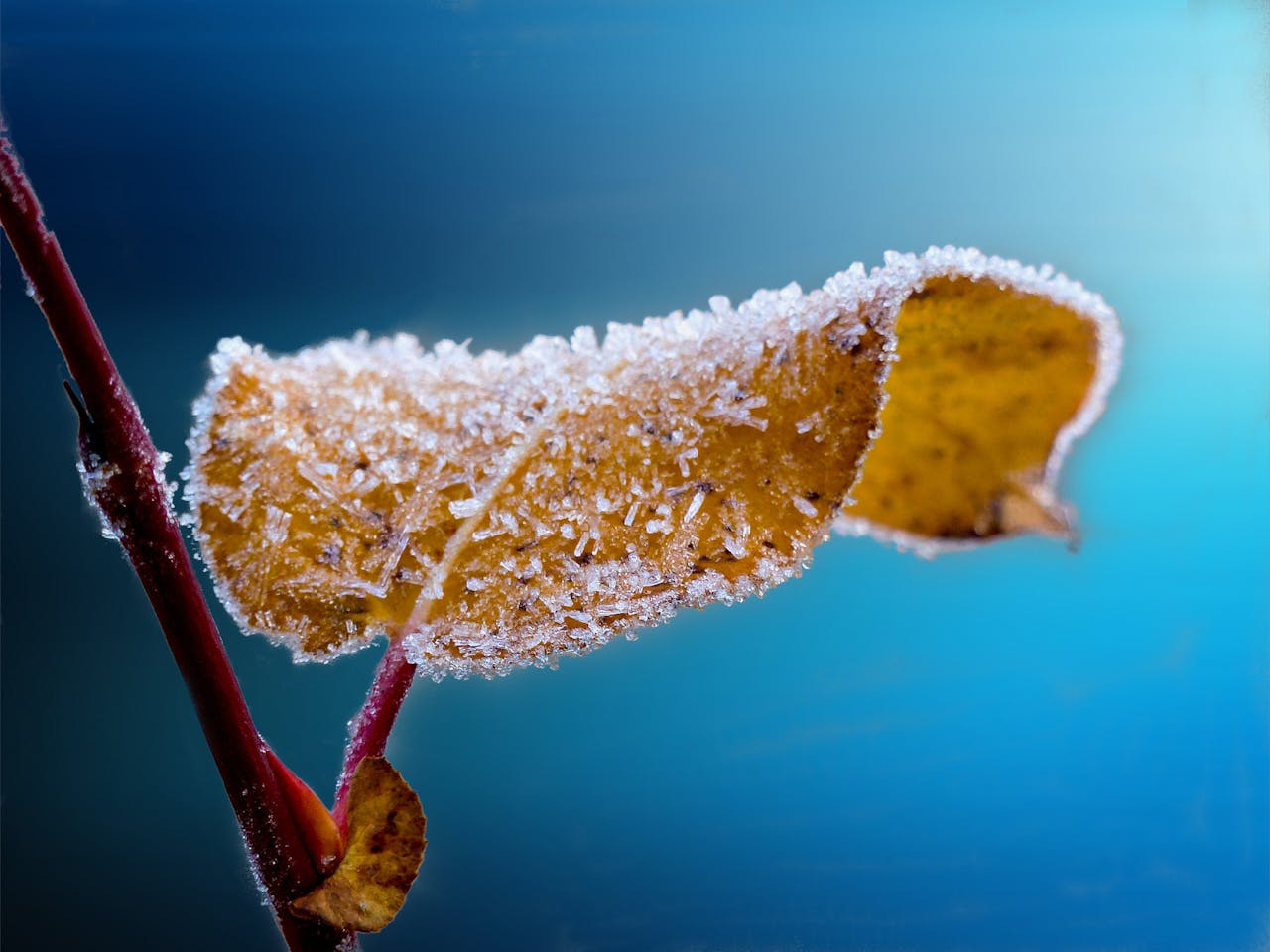 get through cold weather safely